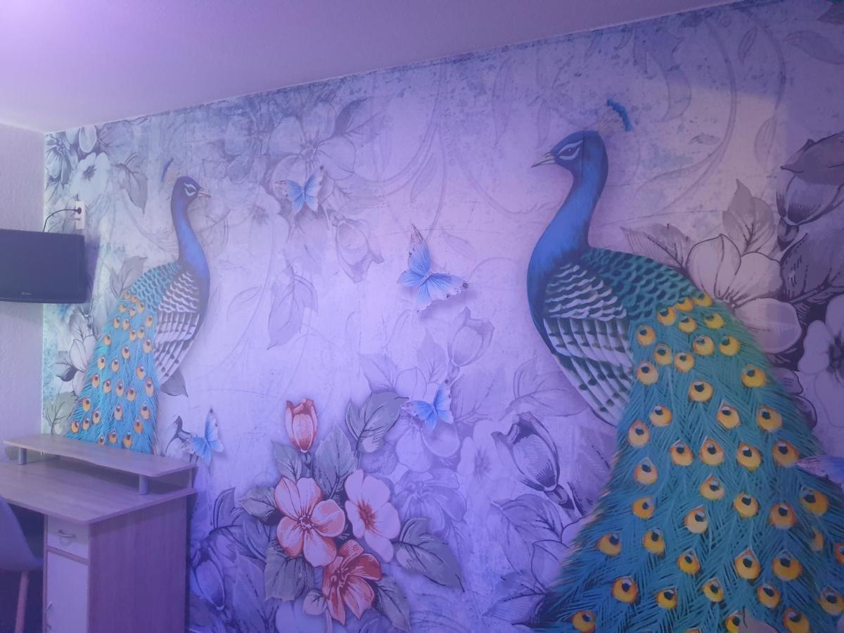 Horus Hotel Fréjus エクステリア 写真